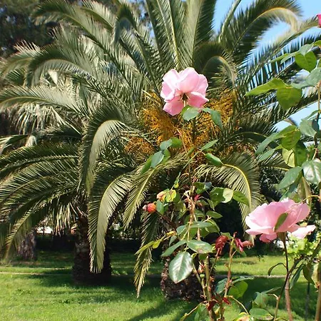 Hotel Laios (adults Only)