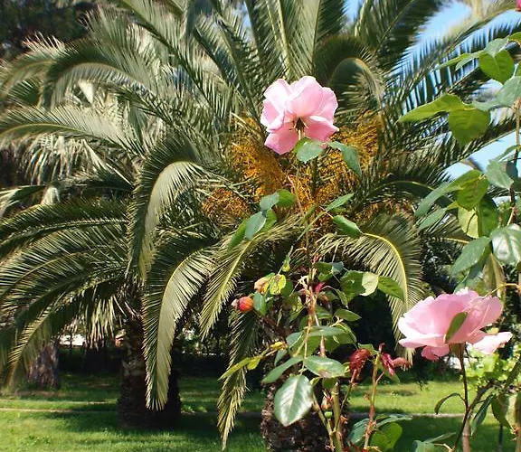 Hotel Laios (adults Only)